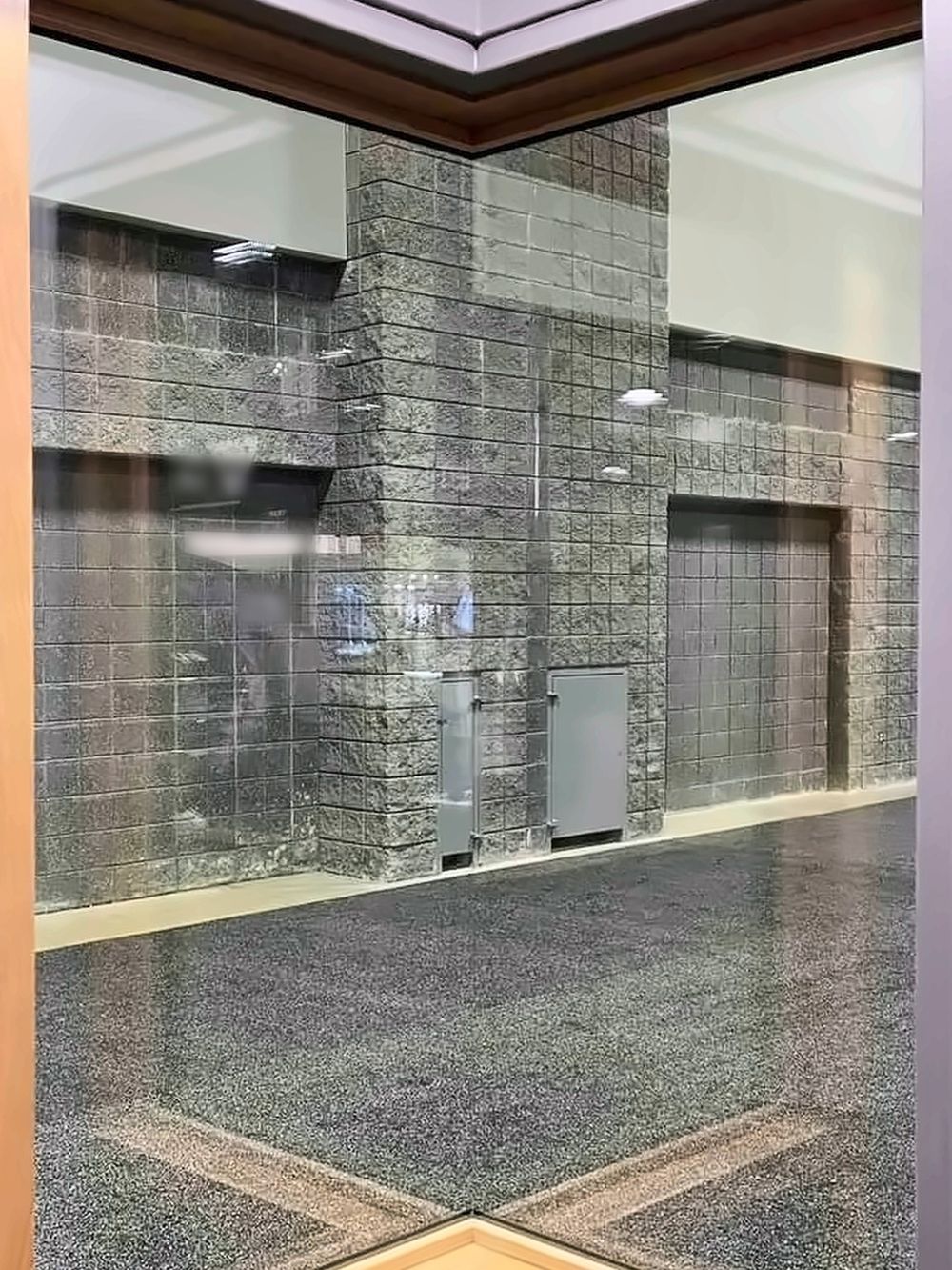 Looking out through a fused glass corner: the two walls of glass meet with no post, and the corner is nearly invisible